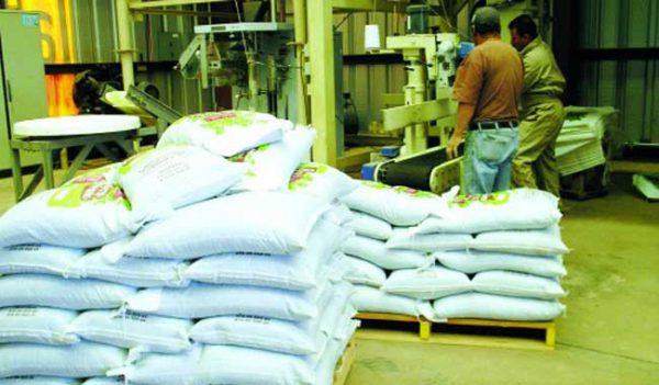 Reprueban retraso en apertura de centros de acopio de frijol