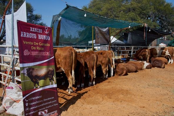 Arranca en Tepechitlán la Expo Agroalimentaria