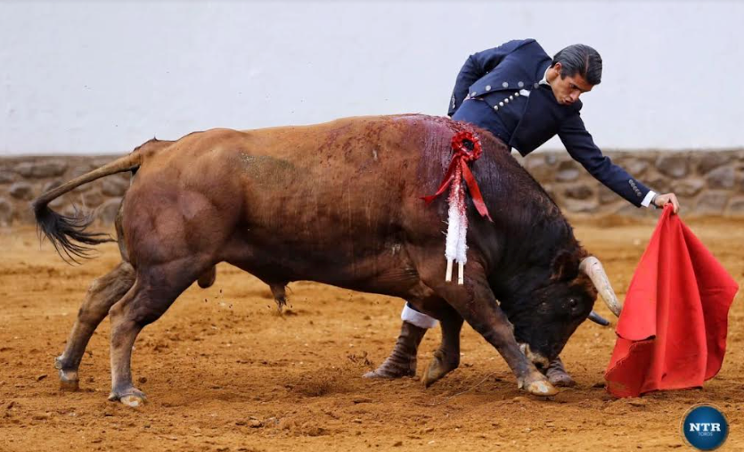 Cadereyta, sede de Festival Taurino Benéfico