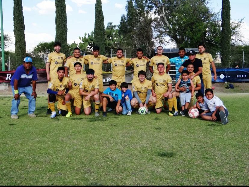 Regresan las acciones de la LMFT