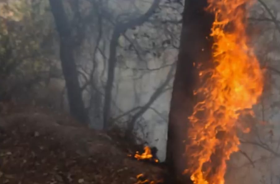 Imparables, incendios forestales en Valparaíso