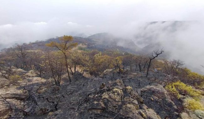 Incendio en Valparaíso, el más devastador en el año