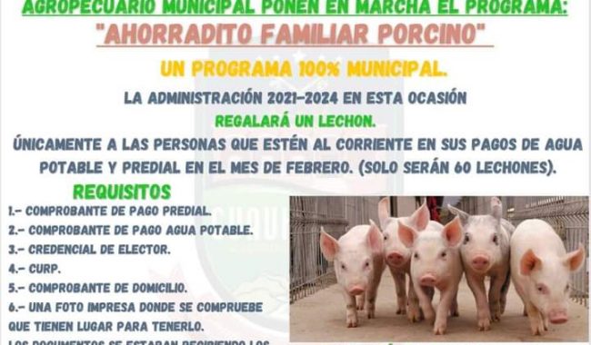 Ponen en marcha programa Ahorradito Familiar Porcino
