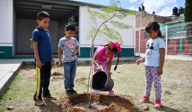 Promueven valores en cursos de verano