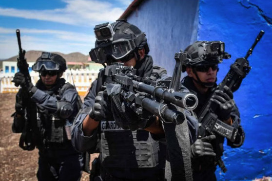 Senador republicano propone ley para que Ejército mexicano entrene en EU