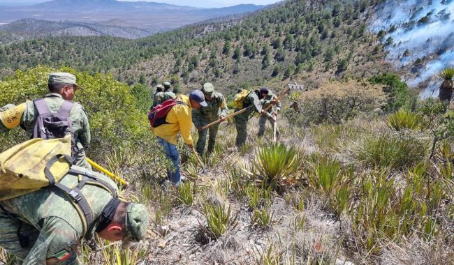 Logran controlar incendio en la Sierra de Rodríguez