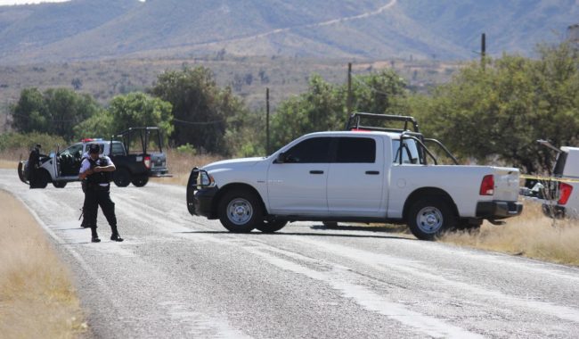 Encuentran cinco cuerpos en Pinos