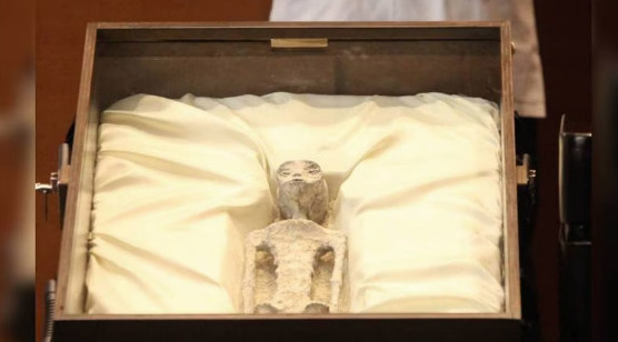 Científicos califican como fraude supuestos cuerpos extraterrestres presentados por Maussan