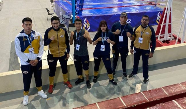 UAZ, por medallas de boxeo