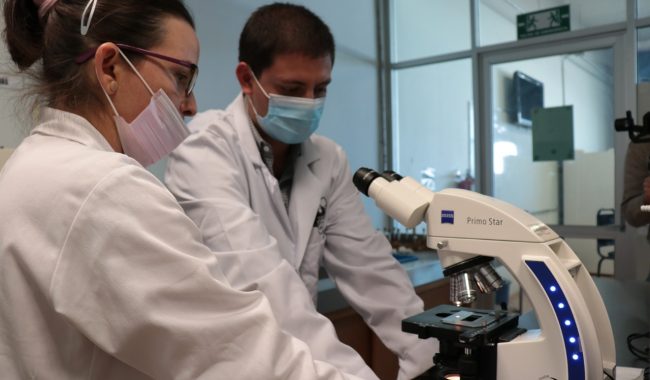 Amplía Cozcyt convocatoria de proyectos dirigida a estudiantes de 14 a 19 años