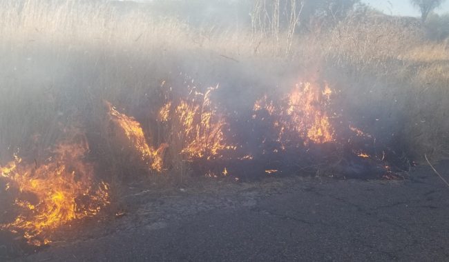 Trabajan en control de incendio en Tlaltenango