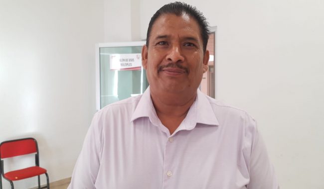 Autoriza Ecología retirar una palma en secundaria Benito Juárez
