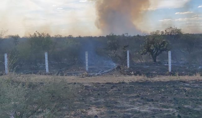 Incendio en Villa de Cos consume 20 hectáreas