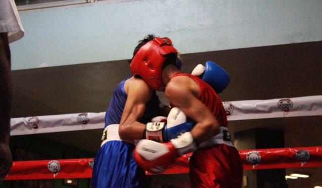 Regresa el boxeo a la Arena Rocky