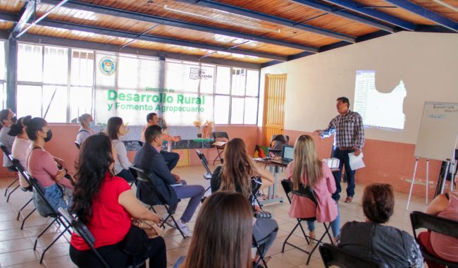 Fomentan la creación de huertos familiares