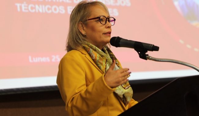 Inviable, destitución de directora: Maribel Villalpando
