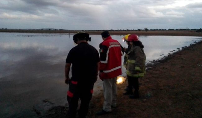 Avisan de muerte masiva de peces