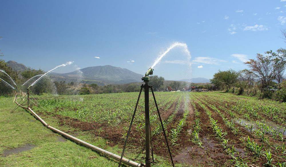 Ofrecen asesoría legal a productores