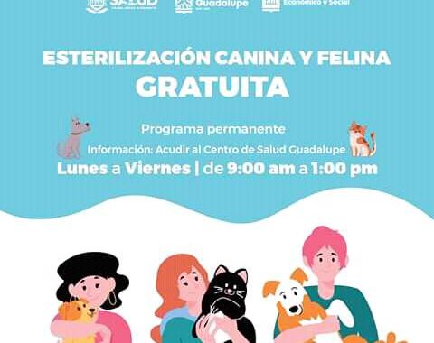 Ponen en marcha programa de esterilización canina y felina