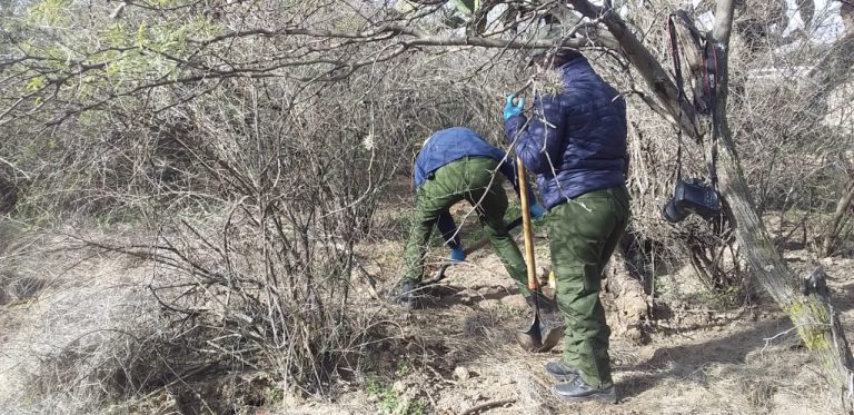 Identificado, uno de 10 restos hallados en fosa