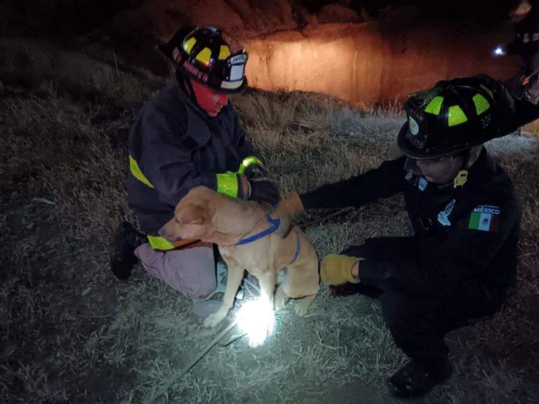 Rescata PC a perro atrapado en socavón