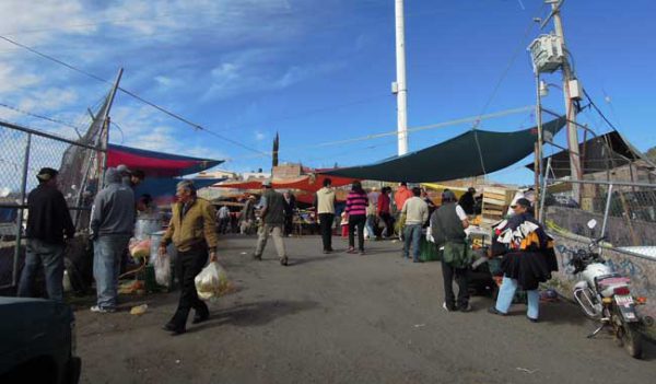 Reubican a tianguistas de Tres Cruces en la Fenaza