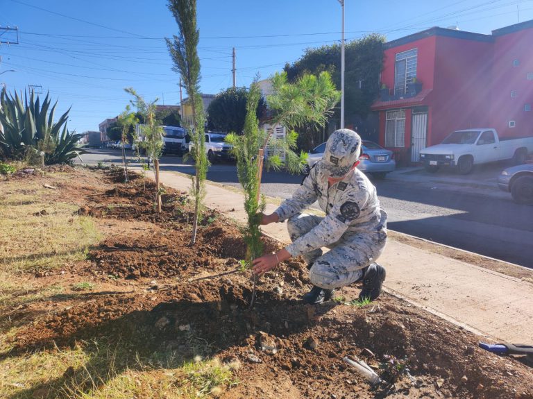 Ayuda GN a reforestar Fraccionamiento San Fernando