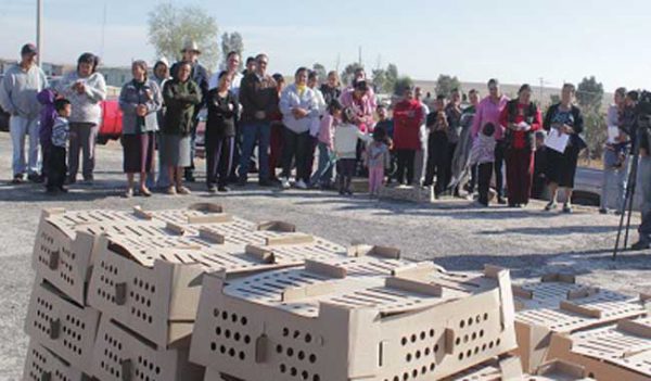 Entregan aves de traspatio a 650 familias guadalupenses