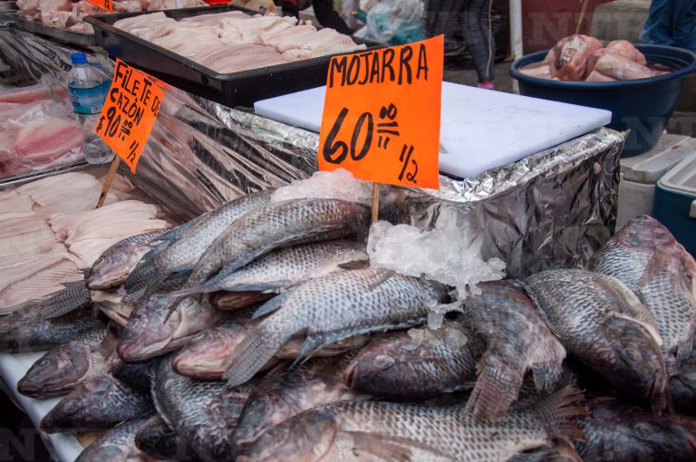 Inician las actividades del Tianguis de Cuaresma