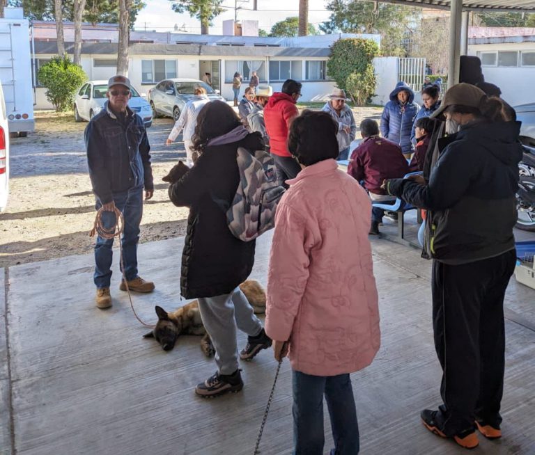 Lleva SSZ jornadas de esterilización canina y felina a municipios