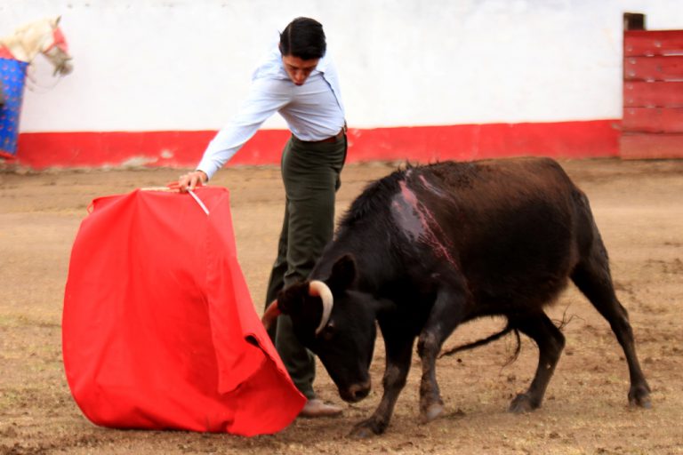 Sergio Flores da cátedra en Felipe González