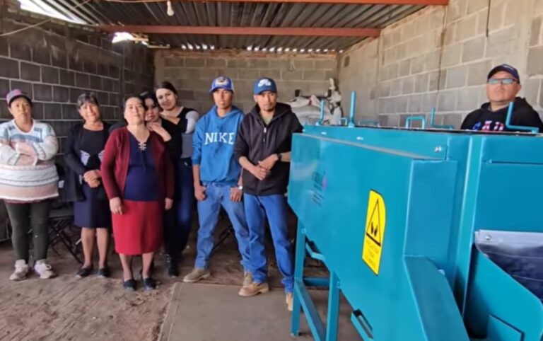 Agilizan producción de tunas con máquina barredora