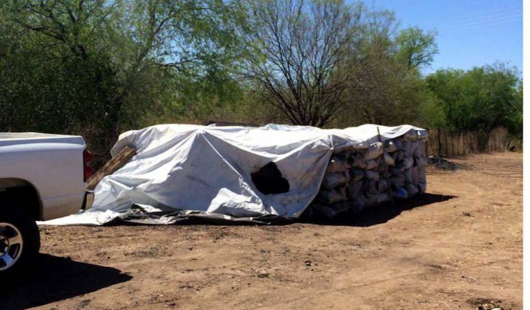 Aseguran carbón para comercio ilegal en Sonora