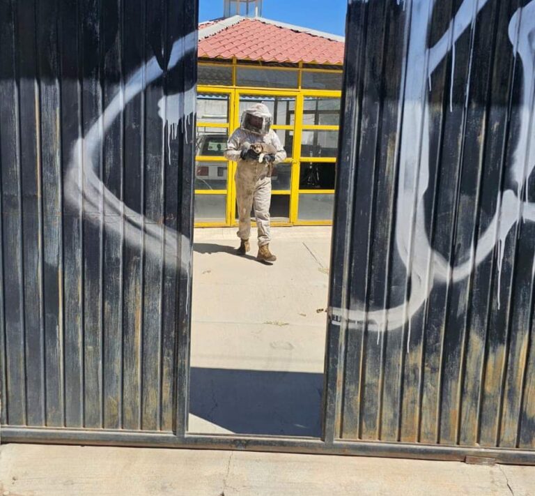 Ataque de enjambre de abejas deja dos lesionados