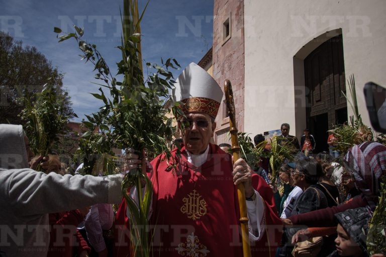 Celebra grey católica Domingo de Ramos