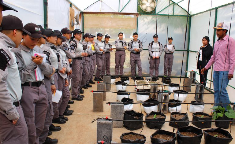 Consideran estudiantes de BGP estudiar en UTZAC