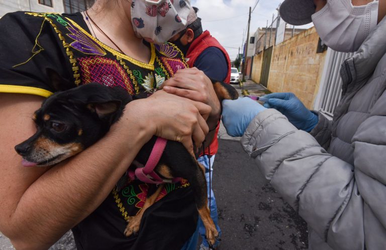 Hoy inicia vacunación antirrábica en Apozol