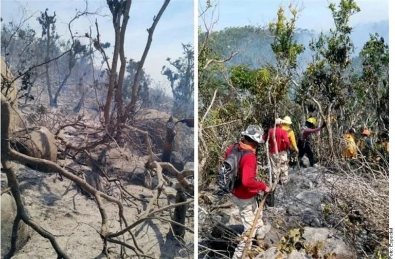 Impacta incendio forestal a ‘pulmón’ de Acapulco