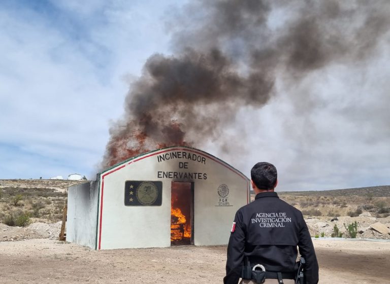 Incineran más de 17 kilos de narcóticos en Zacatecas