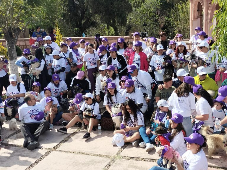 Organizan caminata por animales del CACF