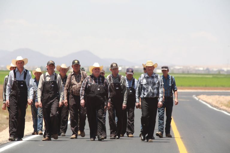 Piden diésel para caminos menonitas