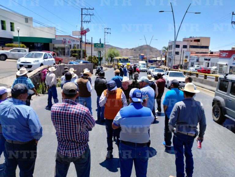 Toman bulevar productores agropecuarios