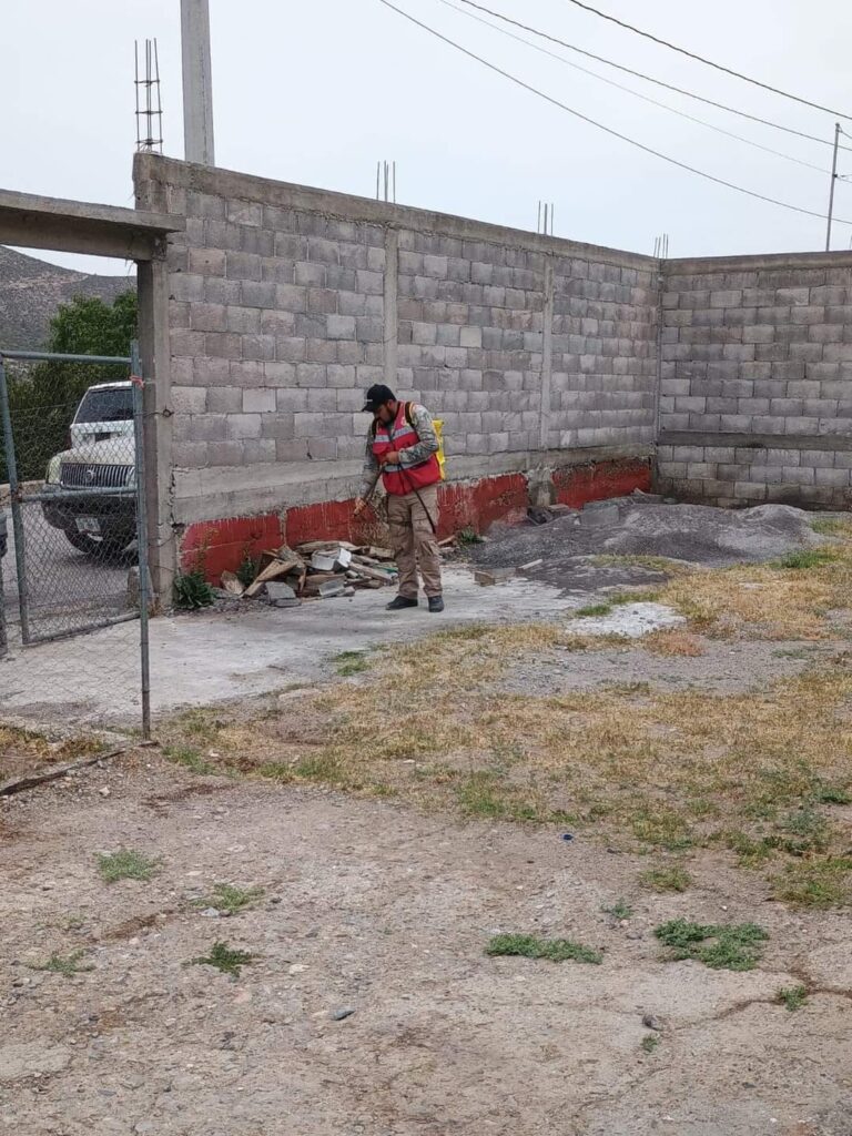 Invade plaga de garrapatas a escuela