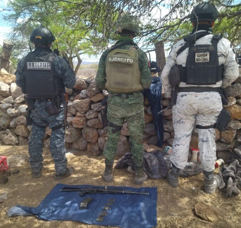 Desmantelan campamento delincuencial en Tepetongo