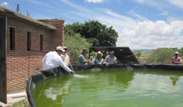 Programa piloto de Aguacultura en Zonas Áridas del norte del país; Sagarpa