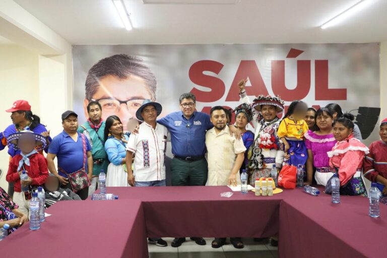 Reivindicaré a los pueblos originarios desde el senado: SMA