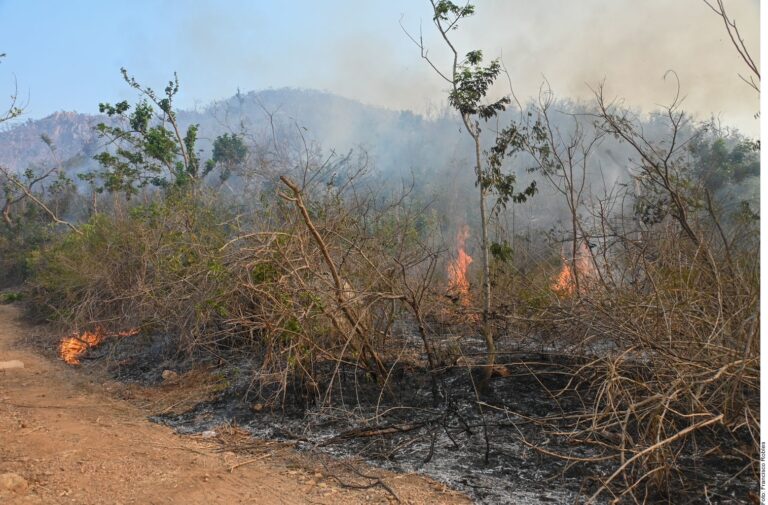 Reportan 100 incendios activos en 18 entidades