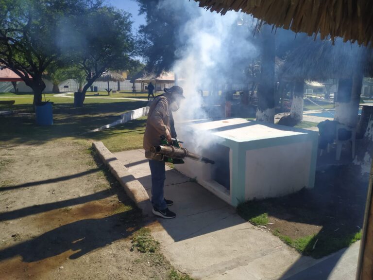 Son 500 afectados por picaduras de alacrán