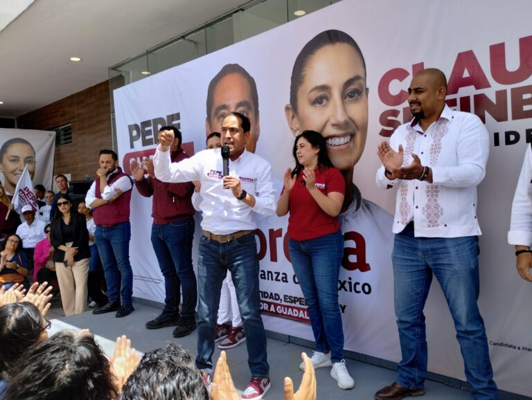 Ya dimos muchos resultados: Saldívar