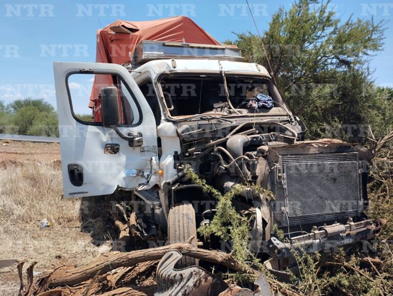 Accidente carretero deja una persona lesionada